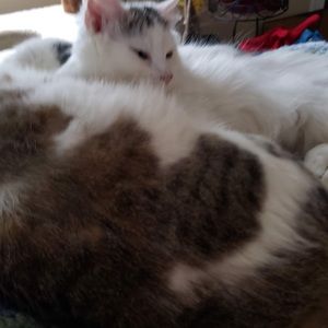 Meet your Posher, Mari